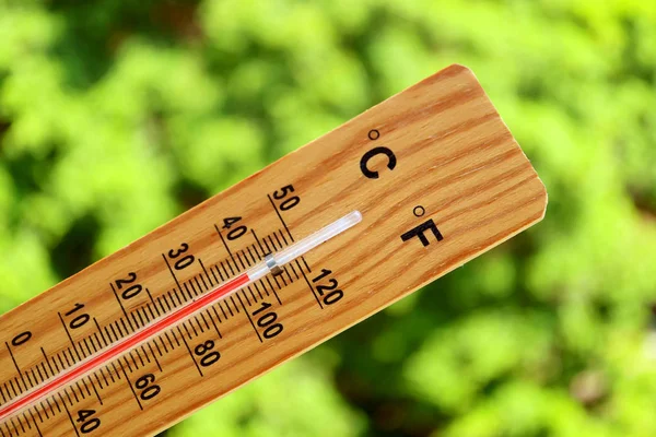 Primer Plano Termómetro Que Muestra Alta Temperatura Contra Los Árboles —  Fotos de Stock