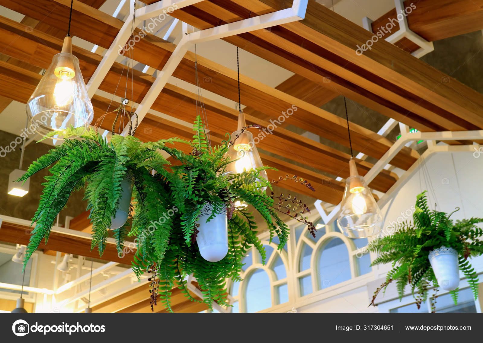 Techo Decorado Con Helechos Maceta Colgantes Iluminación — Foto de stock  #317304651 © shinylion, image size:1600x1137