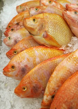 Piyasada Taze Ham Tayland Yakutu Buzda Balıklar Sırasının Dikey Görüntüsü