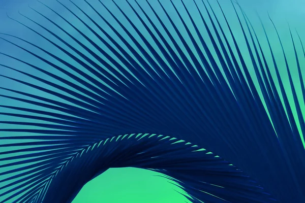 Streszczenie Pop Art Surrealistyczny Styl Deep Blue Liść Palmy Zielonym — Zdjęcie stockowe