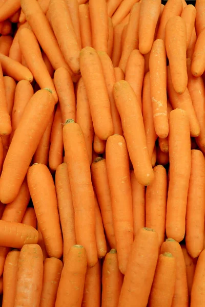 Vertikales Bild Des Haufens Von Leuchtend Orangefarbener Farbe Frische Möhren — Stockfoto
