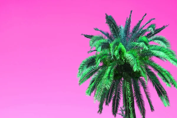 Pop Art Style Vibrant Green Palm Tree Jasnym Różowym Tle — Zdjęcie stockowe