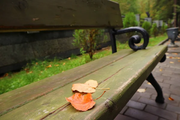 Closeup Fallen Autumn Leaves Wooden Bench Park Dalam Bahasa Inggris — Stok Foto