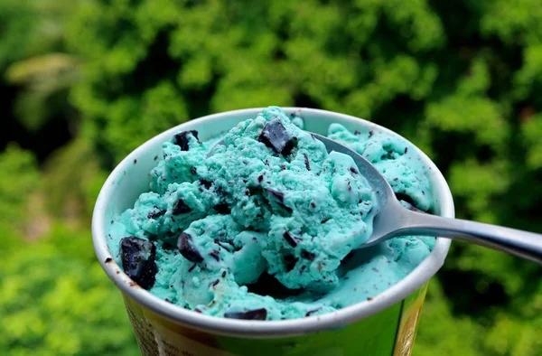 Yakın Plan Arkaplanda Bulanık Yeşil Çalılı Naneli Çikolata Kırıntılı Dondurma — Stok fotoğraf