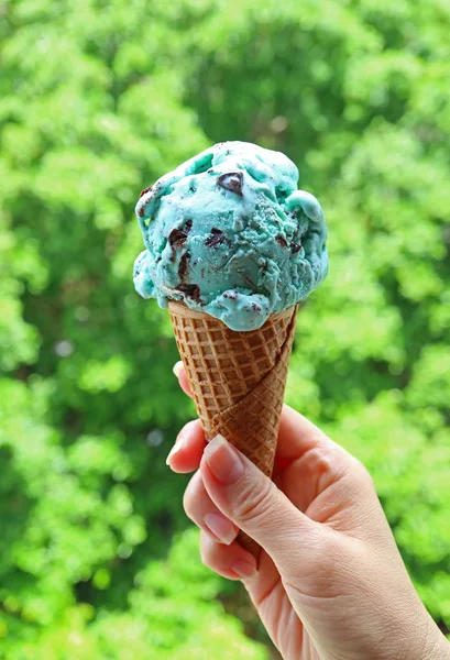 Vertical Image Hand Holding Mint Choc Chip Ice Cream Cone — стокове фото