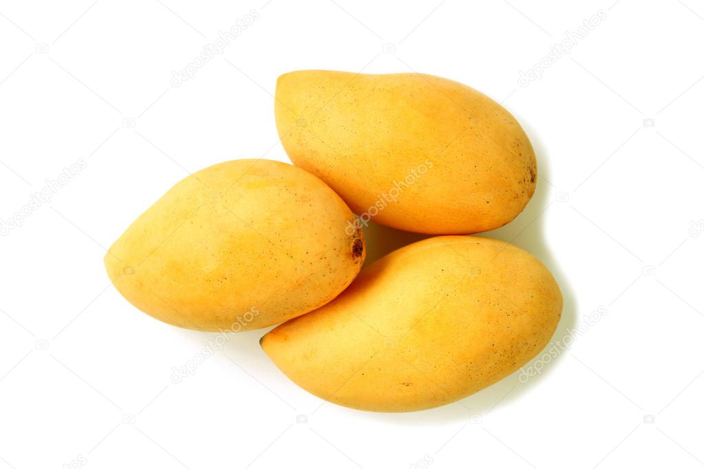 Three Fresh Ripe Mango Whole Fruits Isolated on White Background