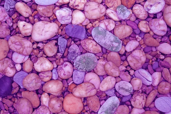 Pebble Stones Walkway Pink Purple Tone Background Wallpaper — Stock Photo, Image