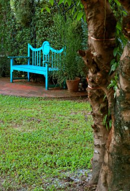 Turkuaz Mavi Ahşap Bankın Yaz Bahçesindeki Dikey Görüntüsü