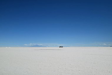 Uyuni tuz düzlüklerinden çıkarılan tuzu taşımak için kamyonet, Bolivya Potosi Bölümü