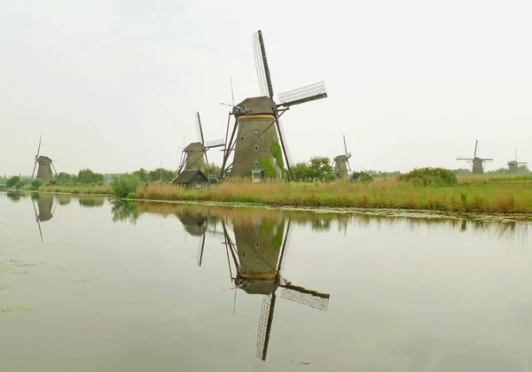 Reflexiones Del Grupo Molinos Viento Históricos Kinderdijk Molenwaard Países Bajos —  Fotos de Stock