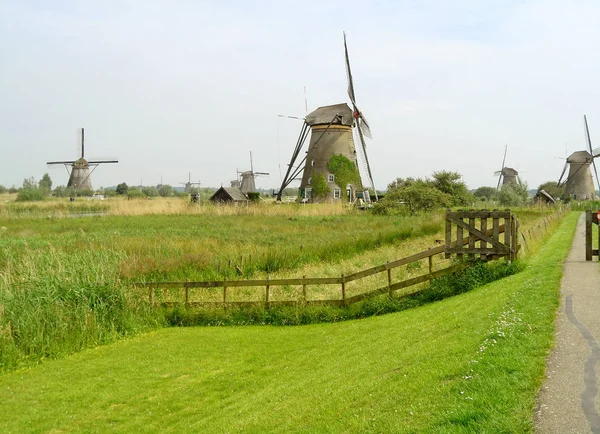 Impresionante Vista Los Molinos Viento Holandeses Históricos Kinderdijk —  Fotos de Stock