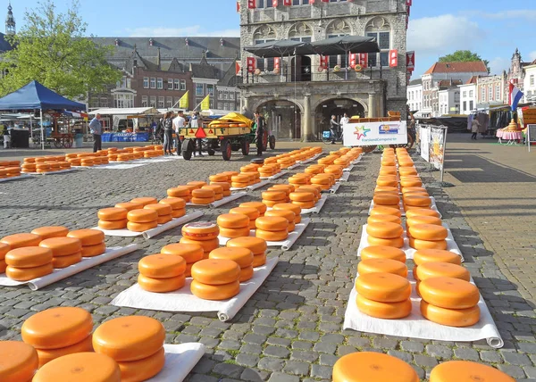 Живое Желтое Колесо Сыра Сырном Рынке Гауда Традиционный Сыр Нидерландах — стоковое фото