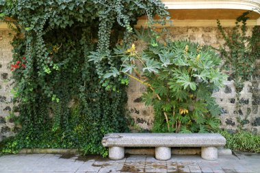 Şili, Santiago 'daki Cerro Santa Lucia Tarihi Parkı' nda Boş Taş Benç