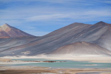 Salar de Talar tuz gölleri. Arka planda Cerro Medano Dağı, Şili And Dağları, Kuzey Şili