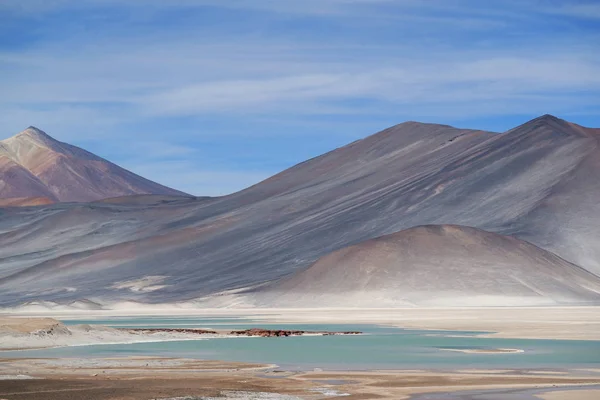 Salar de Talar tuz gölleri. Arka planda Cerro Medano Dağı, Şili And Dağları, Kuzey Şili