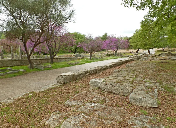 Sitio Arqueológico Antigua Olimpia —  Fotos de Stock
