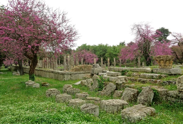 希腊古代奥林匹亚考古遗址花树环绕的古墓或体育馆的遗迹 — 图库照片