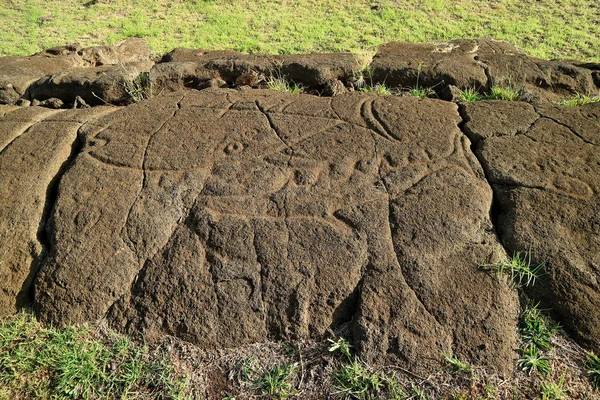 マグロとサメの古代のペトログリフはパパ バカ遺跡でパパ マンゴーと呼ばれます イースター島 — ストック写真