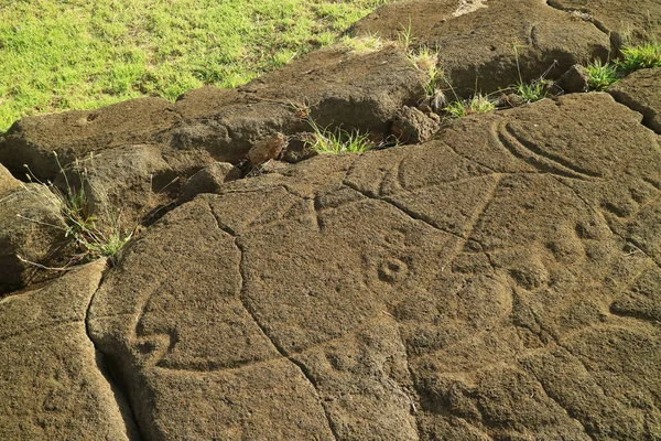 クローズアップパパマンゴーイースター島のパパVaka考古学サイトでマグロとサメの古代のペトログリフ — ストック写真