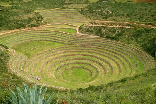 Terraços Agrícolas Históricos Moray Vale Sagrado Dos Incas Região Cusco — Fotografia de Stock