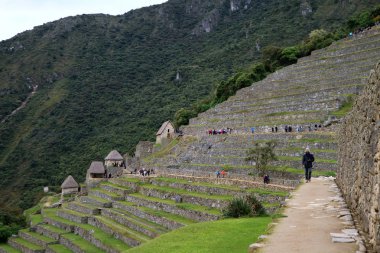 Sabahın erken saatlerinde Machu Picchu 'nun aekhaeolojik alanını keşfeden ziyaretçi, Cusco bölgesi, Peru, Güney Amerika