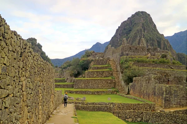 位于秘鲁库斯科的Machu Picchu Incas城堡 一位早起的游客在黎明时分游览 — 图库照片