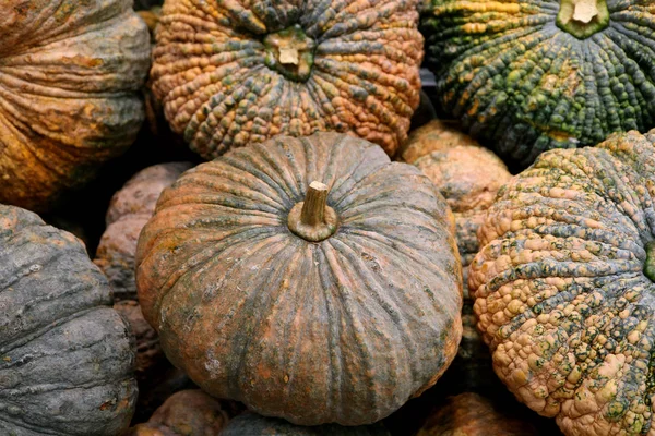 Heap Gröna Och Orange Färg Grov Hud Pumpor — Stockfoto