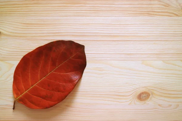 Rotes Herbstblatt Isoliert Auf Hellbraunem Holztisch Mit Freiem Platz Für — Stockfoto