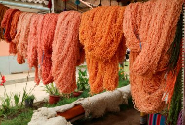 Canlı turuncu renkli Peru doğal boyalı yün iplikleri Peru 'nun Cuzco bölgesinde Andes tekstil köyünde asılıdır.