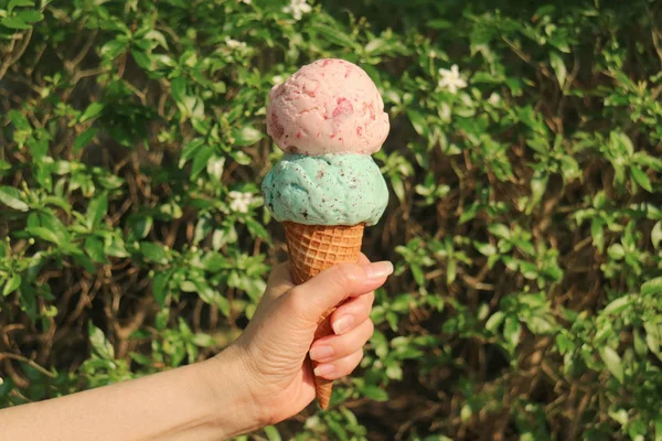 Рука Держит Мороженое Конус Двумя Шарами Солнце Против Расплывчатого Цветущего — стоковое фото