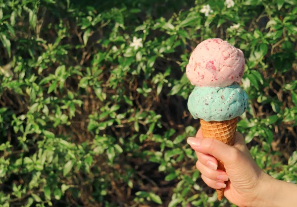 Due Palline Cono Gelato Mano Contro Albero Fiorito Sfocato Con — Foto Stock