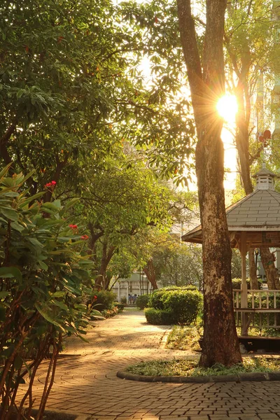 The bright sun shining through the big tree over small pavilion in the garden