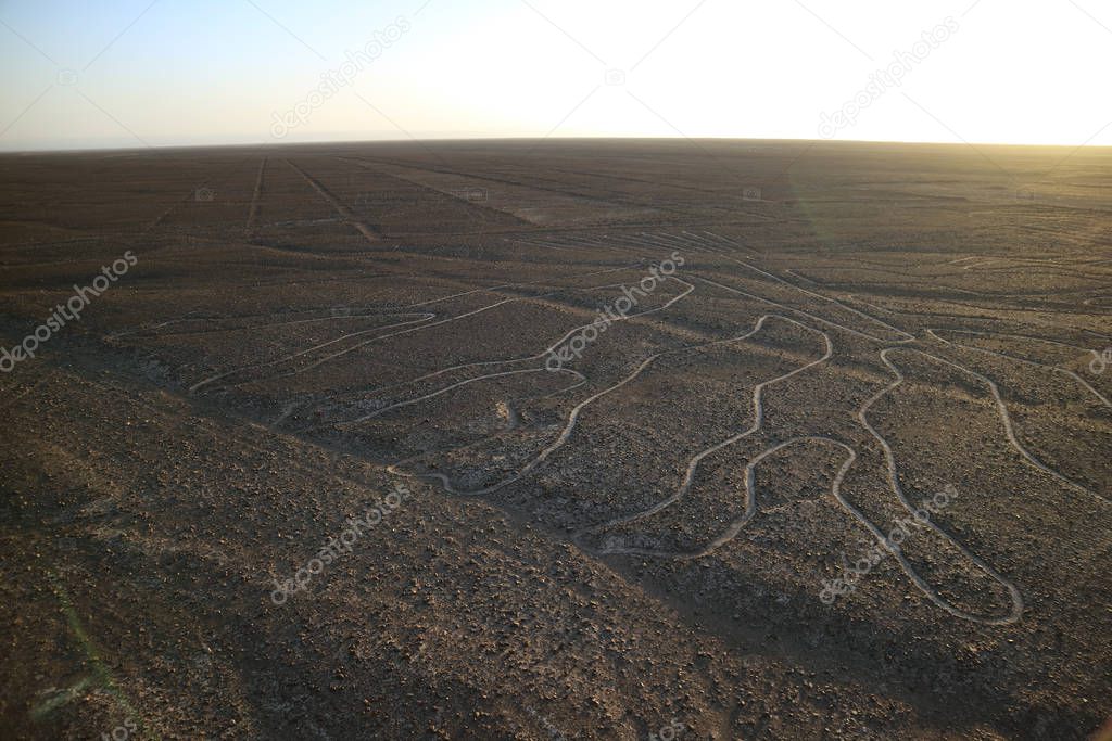 The famous large ancient geoglyphs Nazca lines called Arbol (tree) in evening sunlight, view from observation tower at Nazca desert, Ica region, Peru