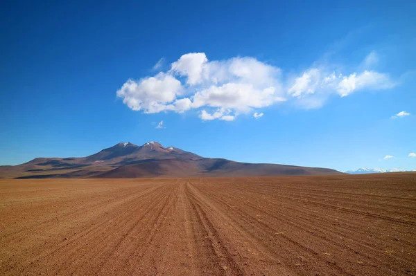 Road Trip Eduardo Abaroa Andean Fauna National Reserve Sur Lipez — Stock Photo, Image