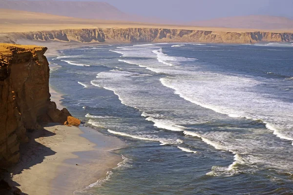 Réserve Nationale Paracas Désert Rencontre Océan Région Ica Pérou Amérique — Photo