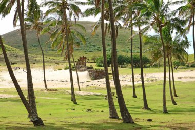 Ahu Nau Nau çevresindeki bir grup gezgin, Anakena Sahili 'nde seremoni platformu ve Paskalya adası, Şili' de birçok hindistan cevizi palmiyesi ağaçları.