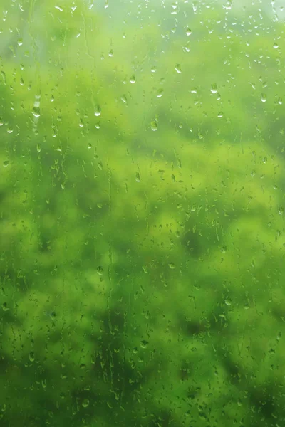 Water droplets on window glass during the rain with blurry green foliage in background