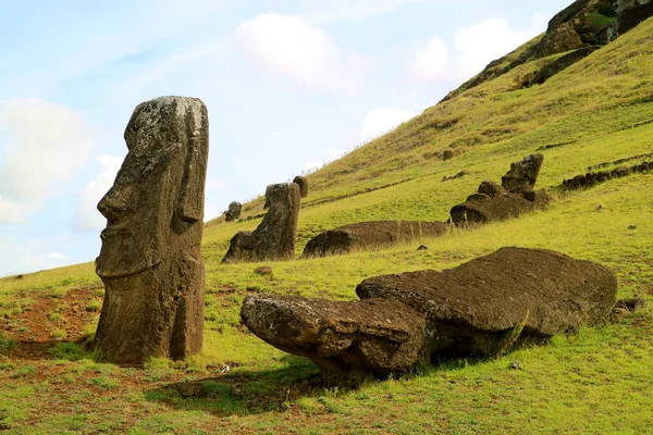 Innumerevoli Statue Giganti Moai Sparse Sul Pendio Del Vulcano Rano — Foto Stock