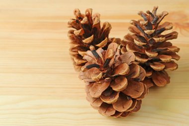 Açık kahverengi ahşap masa üzerinde üç doğal kuru çam kozalağı. Metin ve tasarım için boş alanı var.