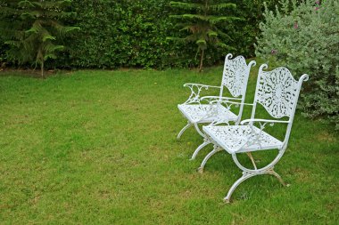 Canlı yeşil bahçede bir çift eski tarz beyaz işlemeli demir sandalye.