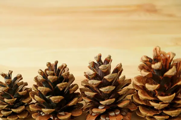 Natural Dry Pine Cones Lined Light Brown Wooden Background Free — Stock Photo, Image