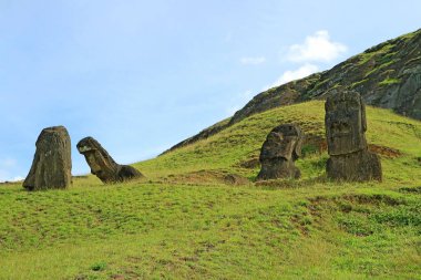 Unfinished huge Moai statues scattered on the slope of Rano Raraku volcano on Easter Island, Chile, South America clipart