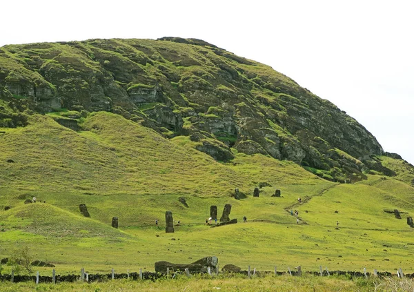 Многочисленные Огромные Статуи Моаи Брошены Склоне Вулкана Рано Рараку Легендарного — стоковое фото