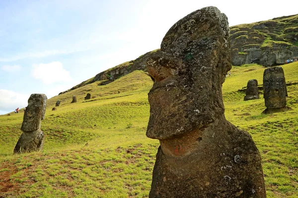 Innumerevoli Gigantesche Statue Moai Abbandonate Sul Vulcano Rano Raraku Con — Foto Stock