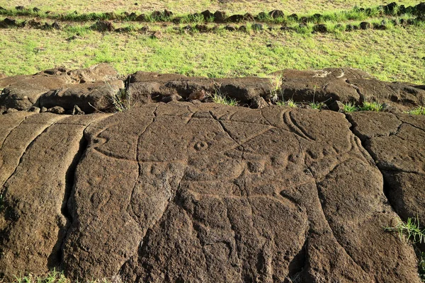 マンゴー イースター島のパパ バカ考古学遺跡のマグロとサメの古代ペトログリフ — ストック写真