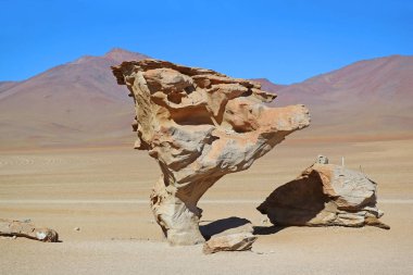 Taş Ağaç veya Arbol de Piedra, Eduardo Avaroa Andean Ulusal Rezervi 'nde ünlü kaya oluşumu, Sur Lipez, Bolivya