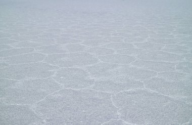 Yağmur mevsiminden sonra Salar de Uyuni tuz düzlüklerinin yüzeyi, Potosi, Bolivya, Güney Amerika