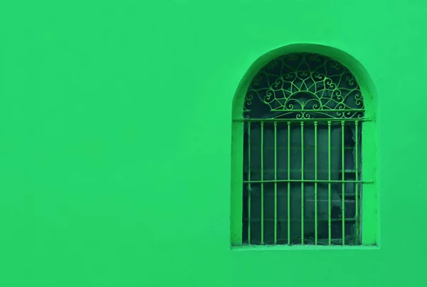 Żywy Zielony Ściana Zewnętrzna Kutego Żelaza Rocznika Okna — Zdjęcie stockowe
