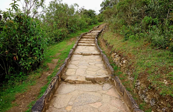 Stone Walking Path in the Light Rain to Kuelap Archaeological Site, Amazonas Region, Northern Peru