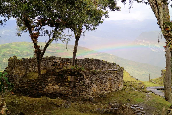 Los Árboles Que Crecen Dentro Las Ruinas Casa Redondeada Ciudadela — Foto de Stock